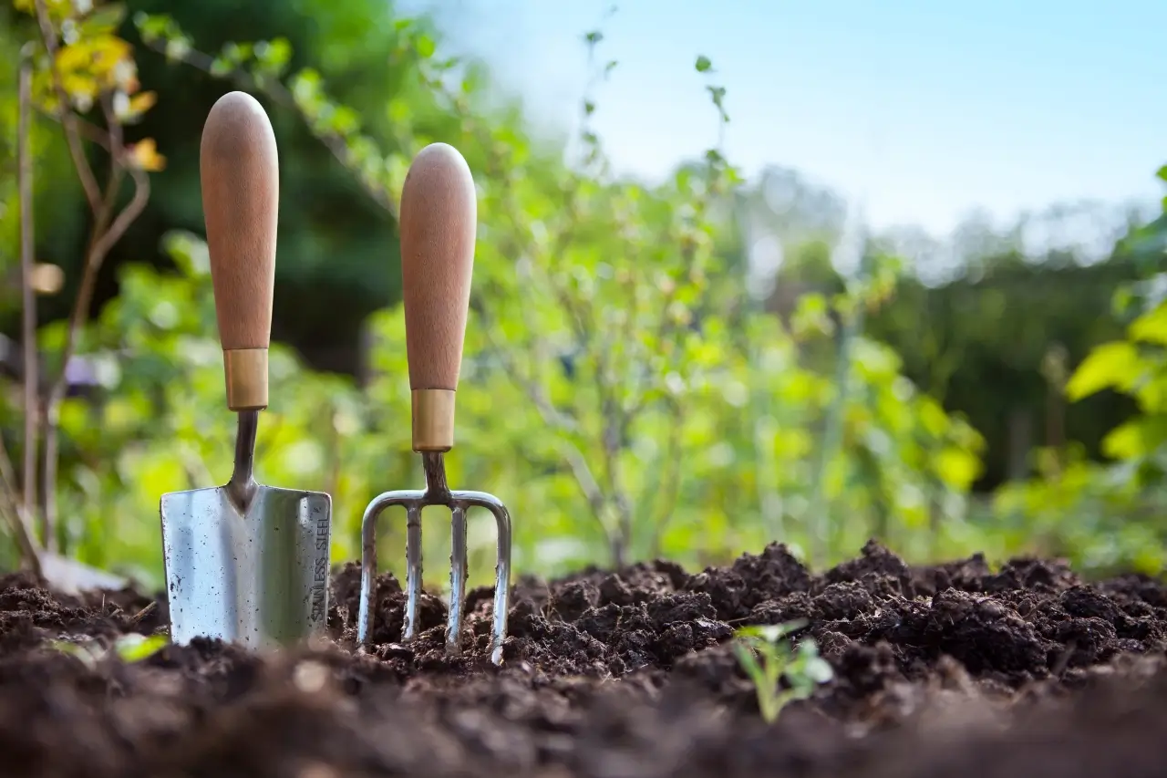 Garden Maintenance Gardening Tools